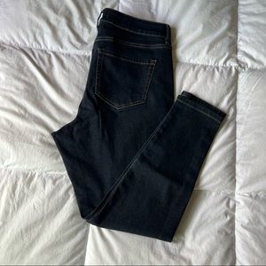 Lane Bryant Blue Denim Skinny Jeans